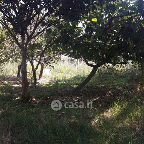 Terreno agricolo in commerciale in Via Campolongo