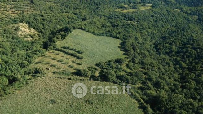 Terreno agricolo in commerciale in Strada Comunale di Fiommarino