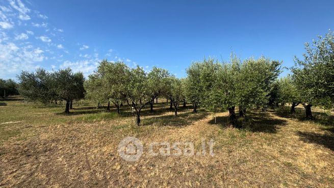 Terreno agricolo in commerciale in 