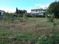 Terreno edificabile in residenziale in Via dell' agricoltura