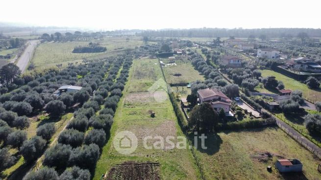 Terreno agricolo in commerciale in Via Tiberina 148