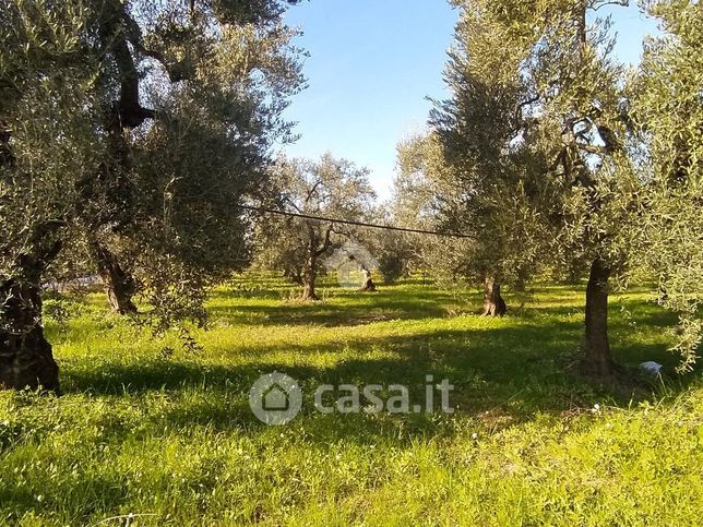 Terreno agricolo in commerciale in Via Tiro a Segno