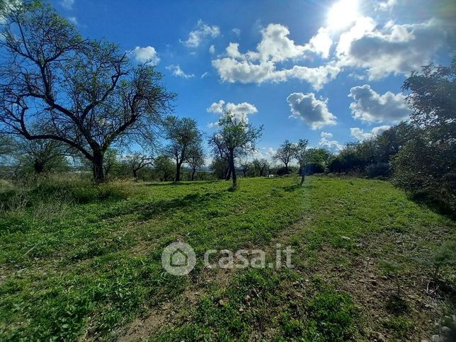 Terreno agricolo in commerciale in Contrada Casale