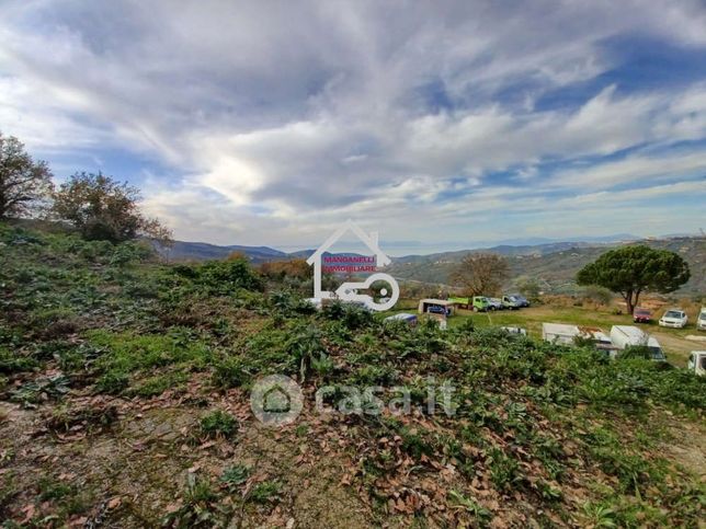 Terreno agricolo in commerciale in San Martino