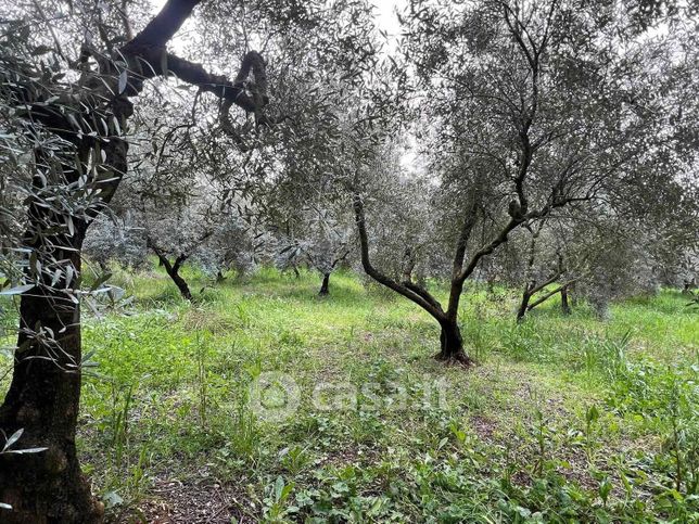 Terreno agricolo in commerciale in 