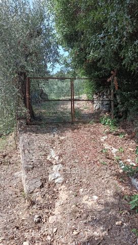 Terreno agricolo in commerciale in Via batignanese