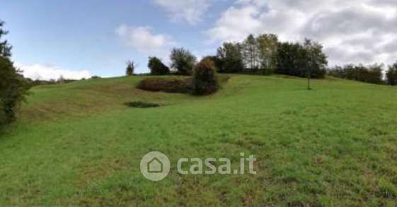 Terreno agricolo in commerciale in Via Poletti