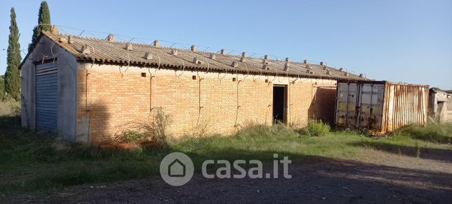 Terreno agricolo in commerciale in ss 313