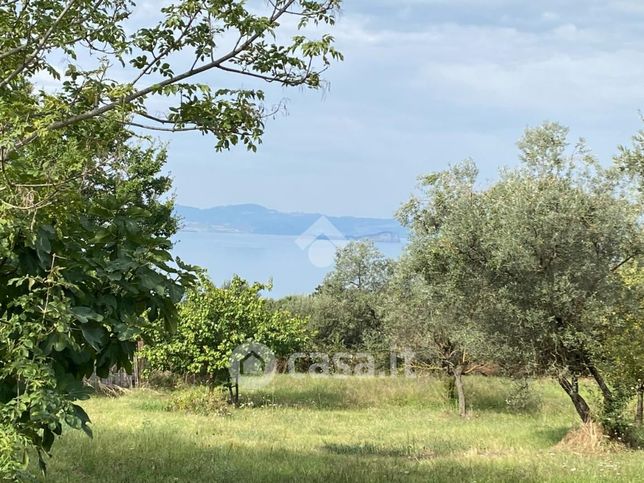 Terreno agricolo in commerciale in Via Cassia Nord