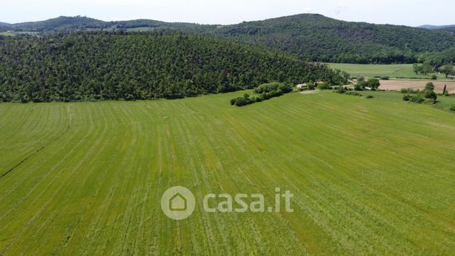 Terreno agricolo in commerciale in Strada provinciale 9