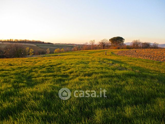 Terreno agricolo in commerciale in Strada Senza Nome
