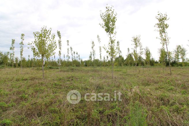 Terreno agricolo in commerciale in Via Matteotti