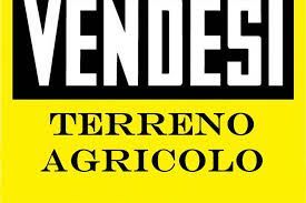 Terreno agricolo in commerciale in 
