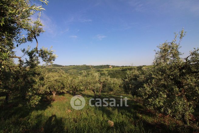 Terreno agricolo in commerciale in Via Colle Montalbino