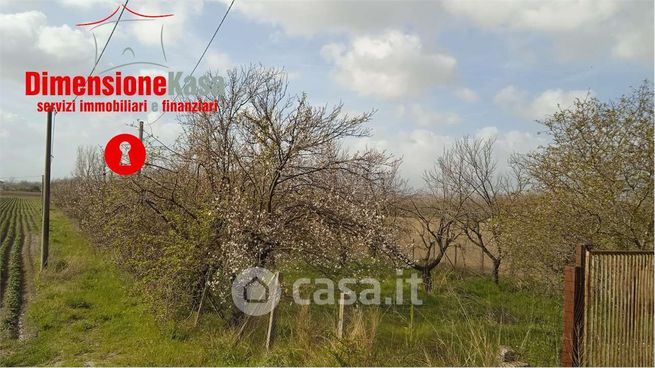 Terreno agricolo in commerciale in Viale degli Oleandri