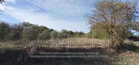 Terreno agricolo in commerciale in 