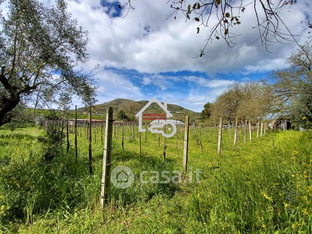 Terreno agricolo in commerciale in Via Italo Svevo 16