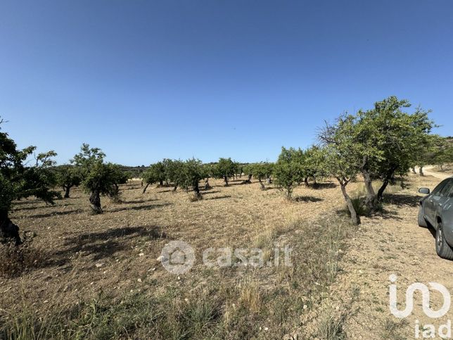 Terreno agricolo in commerciale in SP15