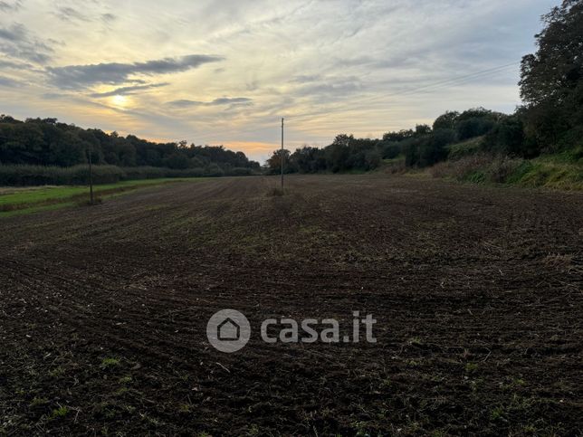 Terreno agricolo in commerciale in Strada Freddano