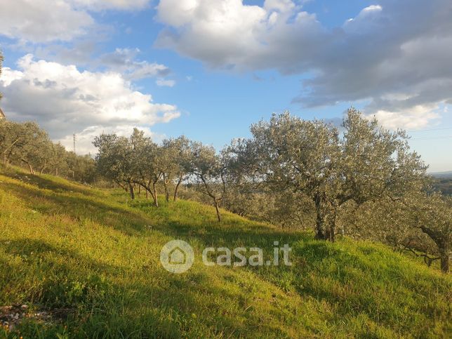 Terreno agricolo in commerciale in Via del Mattatoio