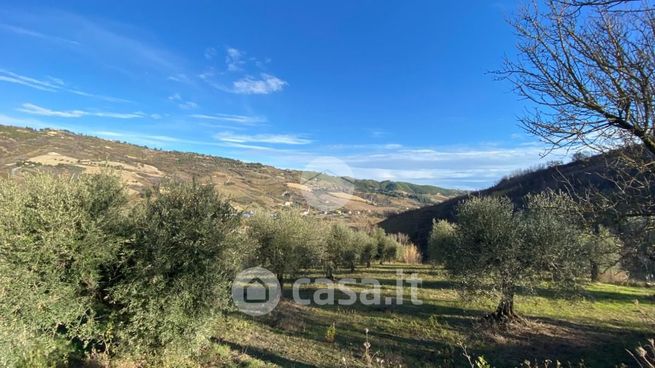 Terreno agricolo in commerciale in Contrada Colle di Guardia