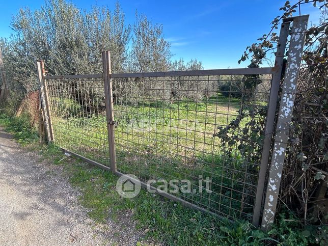 Terreno agricolo in commerciale in Via Vigne Nuove