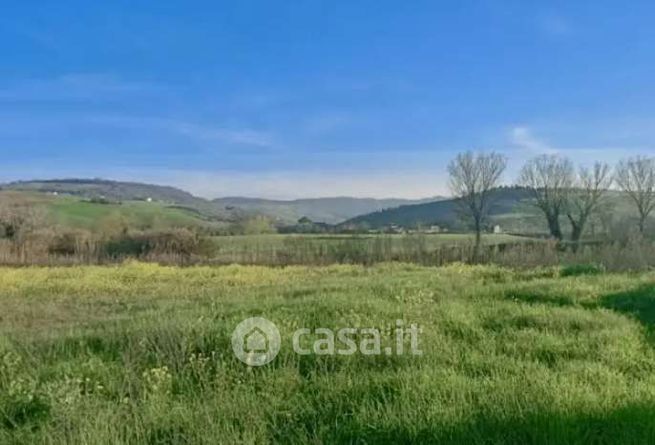 Terreno agricolo in commerciale in Contrada Storno
