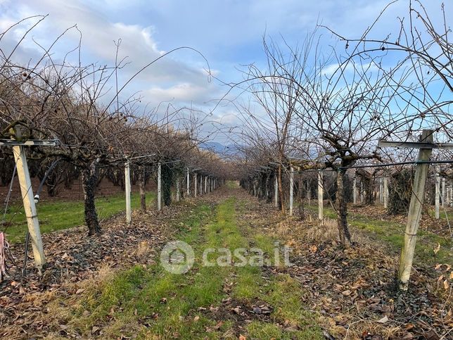 Terreno agricolo in commerciale in Via Famolasco 25 A