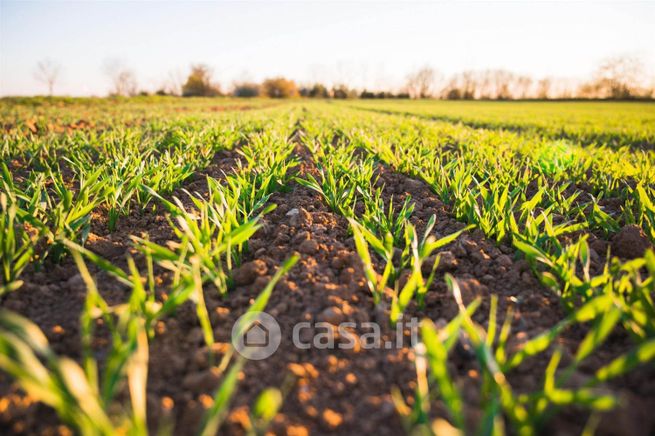 Terreno agricolo in commerciale in 