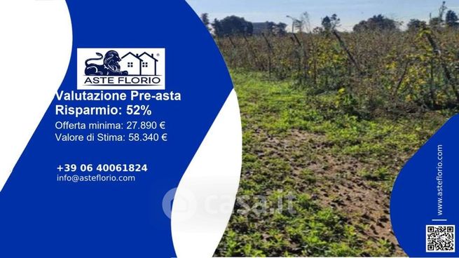 Terreno agricolo in commerciale in Strada Statale 16 Adriatica