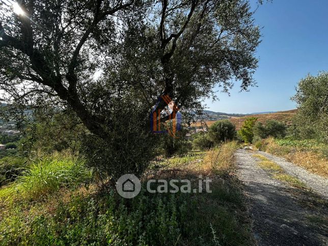 Terreno agricolo in commerciale in Via Fiume Neto 4