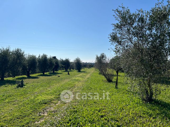 Terreno agricolo in commerciale in 