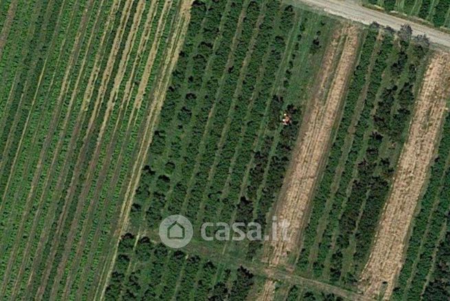 Terreno agricolo in commerciale in 