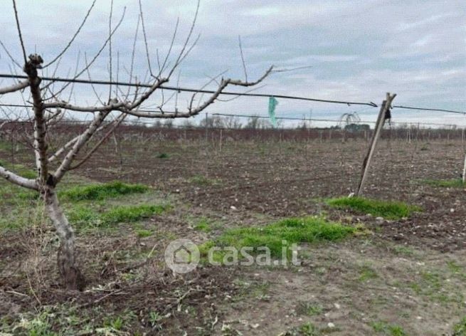 Terreno agricolo in commerciale in Contrada Pantanelle 2ª