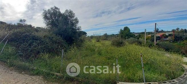 Terreno agricolo in commerciale in Strada Vicinale Zinziodda Li Buttangari