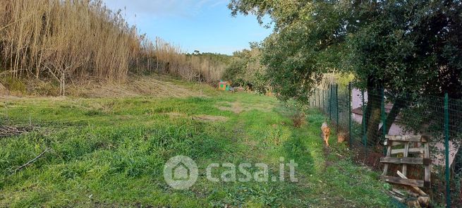 Terreno agricolo in commerciale in Via di Quercianella 120