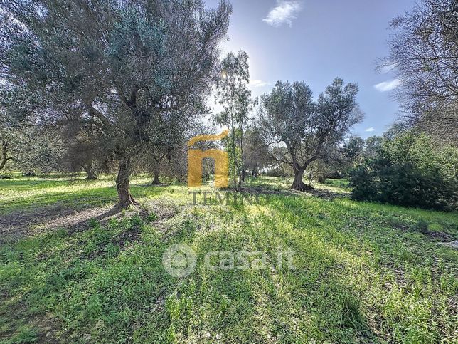 Terreno agricolo in commerciale in Strada Provinciale 217