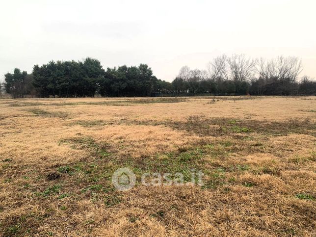 Terreno agricolo in commerciale in Strada Contrada