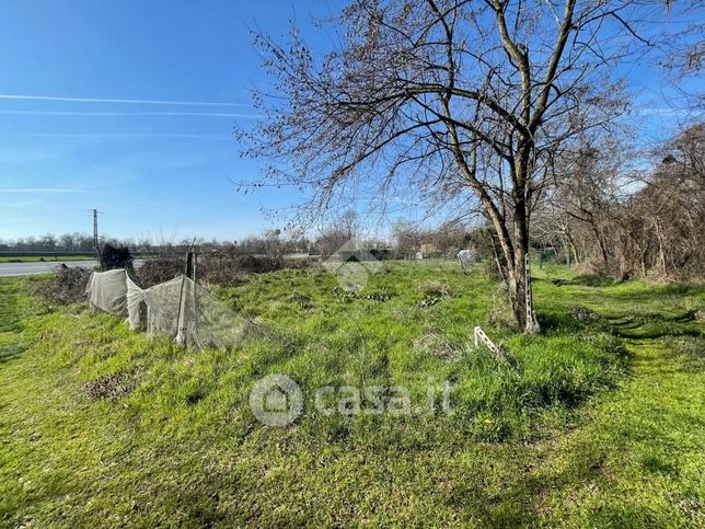 Terreno agricolo in commerciale in Via Case Sparse