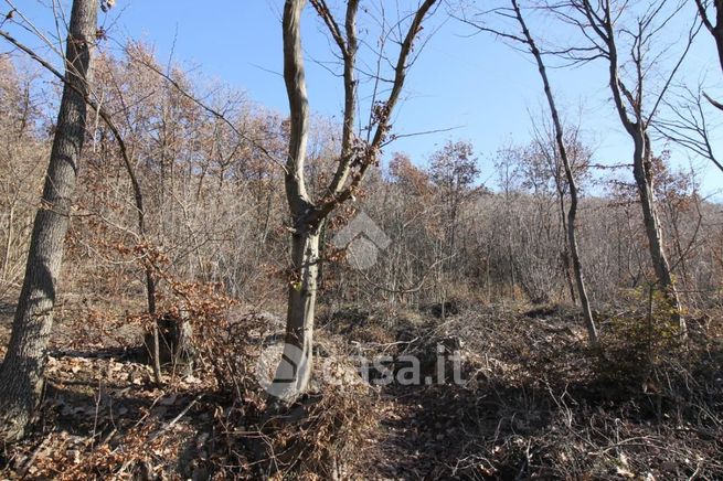 Terreno agricolo in commerciale in Via Giuseppe Chiantore