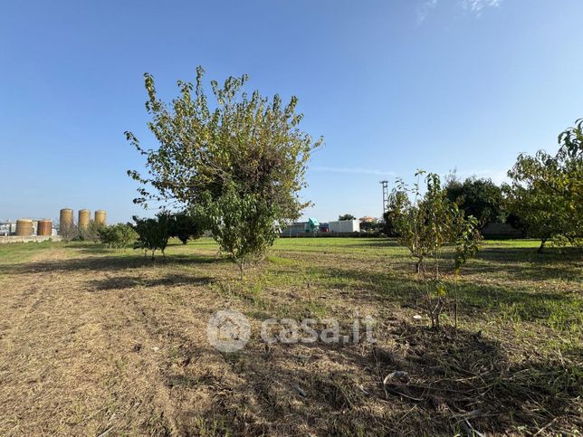 Terreno agricolo in commerciale in Circumvallazione Esterna di Napoli