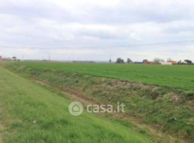 Terreno agricolo in commerciale in Via Palmerino