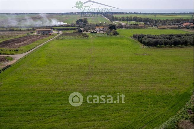 Terreno agricolo in commerciale in Strada Pescia Fiorentina Chiarone