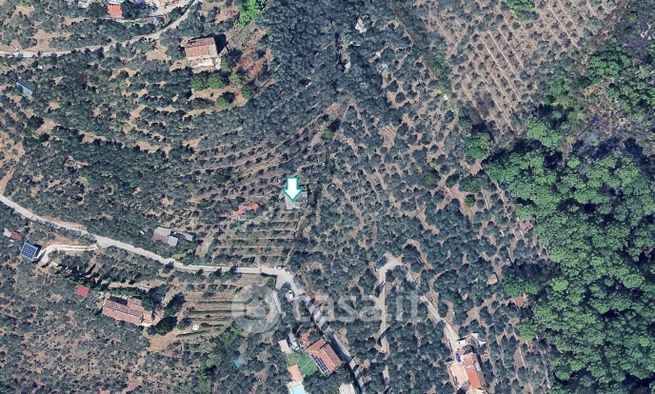 Terreno agricolo in commerciale in Via Cima alla Serra 3