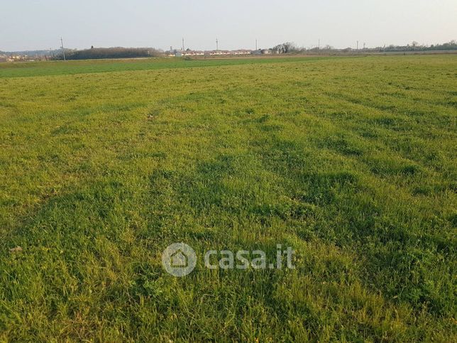 Terreno agricolo in commerciale in Via Montefora Tedeschino