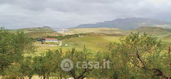 Terreno agricolo in commerciale in 