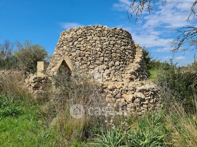 Terreno agricolo in commerciale in Contrada PuritÃ 