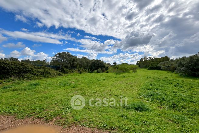 Terreno agricolo in commerciale in LocalitÃ  Sa Traia