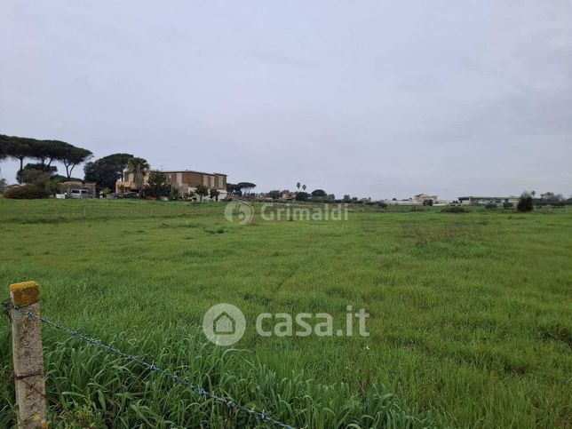 Terreno agricolo in commerciale in Via del Pino