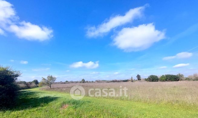 Terreno agricolo in commerciale in Via Grazia Deledda